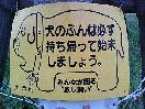 (22KB)