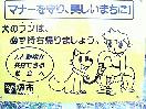(24KB)