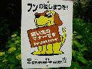 (19KB)