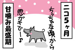 1/4:�j�R�T������������ȍ����爫�K�L�Ł[��Ê��ݍŐ���