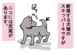 1/4:�f�����錢��̃X�L�b�p�[�L�ł����j�R�ɂ͐K��������܂��A�̓b