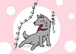 3/4:�͂��͂��͂��͂��͂�������ꂽ�[�B