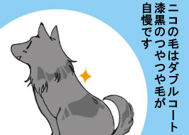 1/4:�j�R�̖т̓_�u���R�[�g�����̂��т������ł�