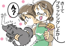 2/4:�u���[�āA�u���b�V���O���悩�[�v�u��H�v���`�`���₾�`�`