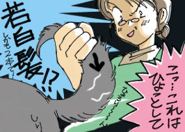 3/4:�u�����������́A�Ђ���Ƃ��āv�u�ᔒ���I�H�@������2�{�v