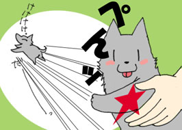 3/4:�؂�b����������