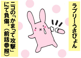 1/4:���u���[�����҂��j�R�́u���܂��čU���v�ɂĕ����B�i�O�b�Q�Ɓj