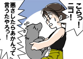 2/4:�u������I�j�R�I�v�u���������炠������Č����������v