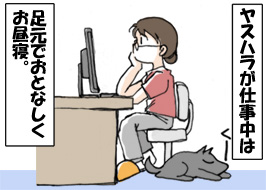 2/4:���X�n�����d�����́@�����ł��ƂȂ��������Q�B