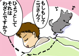 3/4:���������H�j�R����H �Ђ���Ƃ��Ă���͂킴�Ƃł����H