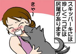 1/4:�X�L�b�p�[�L�ɂ͒������j�R�ɂ͐K��������܂��@����[