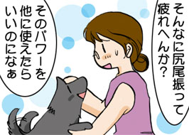 2/4:����ȂɐK���U���Ĕ��ւ񂩁H�@���̃p���[�𑼂Ɏg�����炢���̂ɂȂ�