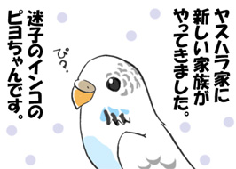 1/4:���X�n���ƂɐV�����Ƒ�������Ă��܂����B�@�ҁH�@���q�̃C���R�̃s�������ł��B