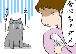 4/4:�H�ׂ���_���@���[���@��������[