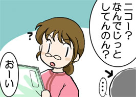 2/4:�j�R�[�H�Ȃ�ł����Ƃ��Ă�̂�H�@�E�E�E�@���[��