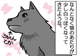 2/4:�Ȃ�ƂȂ��{�̂����肪���������ۂ��Ȃ��Ă����悤�ȁB