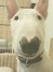ベス ちゃん
