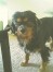 神威(カムイ) ちゃん