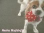 音々 ちゃん