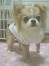 タム ちゃん