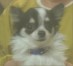 真（シン） ちゃん