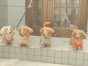 さすけ＆みく＆ピース＆アンナ ちゃん