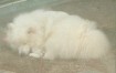 ゆう ちゃん