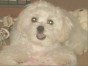るる ちゃん
