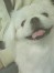 小太郎 ちゃん