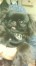 天之助 ちゃん