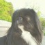 吟侍 ちゃん