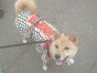 Nana ちゃん