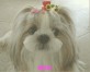 翔乃助 ちゃん