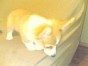 うに ちゃん