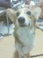 ZERO ちゃん